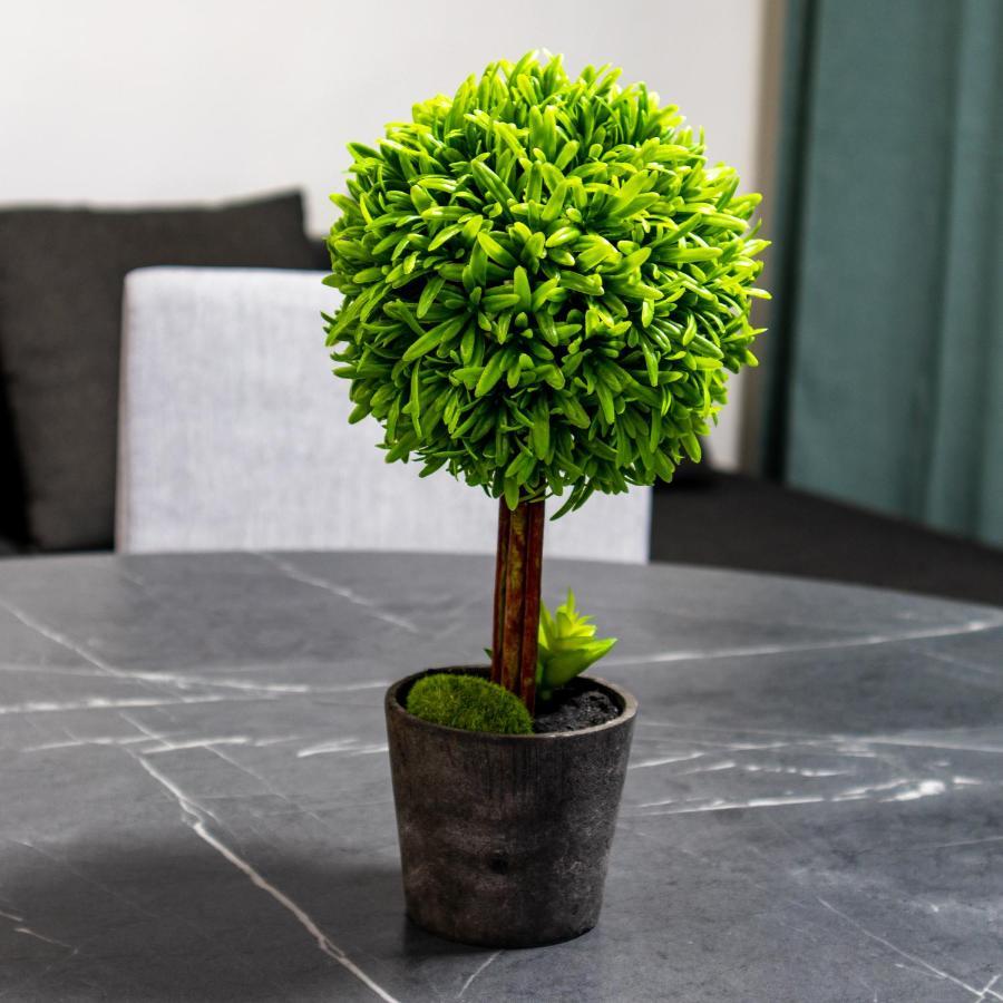 Grey House 2 Apartment Eilat Ngoại thất bức ảnh